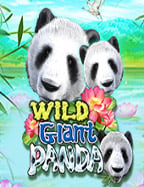 รีวิว แอ พ พี จีโจ้ ก เกอร์ เกม เกมสล็อตที่ไม่ควรพลาด